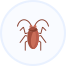 roach exterminator