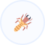 termite exterminator